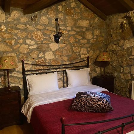 Archontiko Fiamegou Hotel&Spa Synikia Mesi Trikalon Eksteriør billede